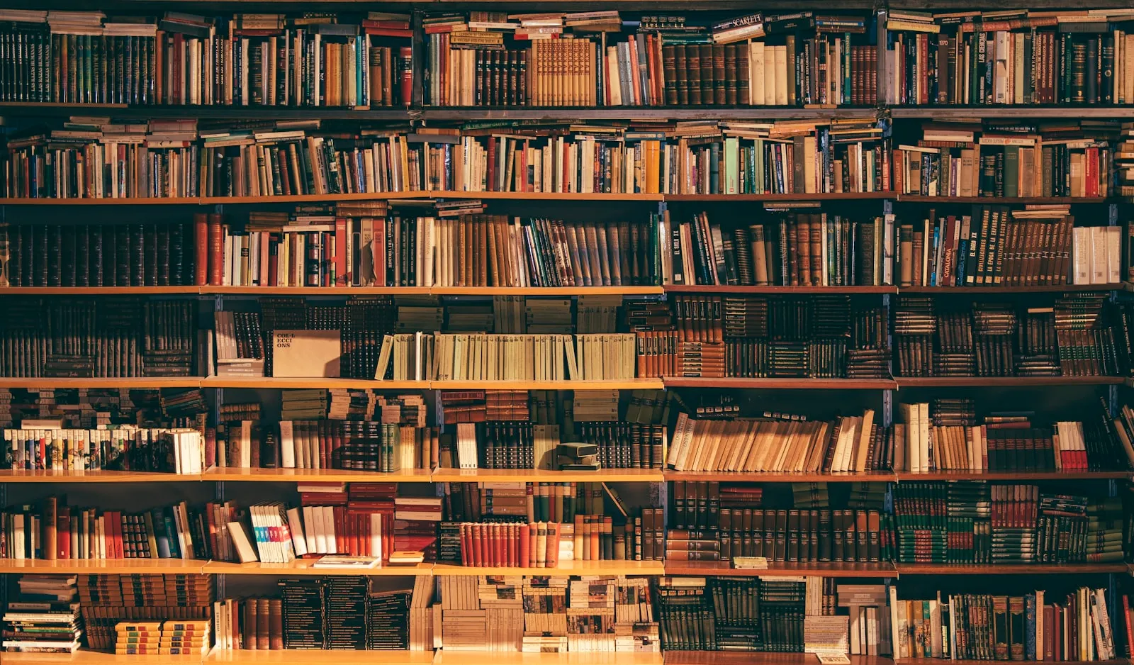 Tall library shelves in a quiet reading room
